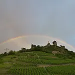 Haus Burg Metternich