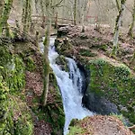 Haus Burg Metternich 2*