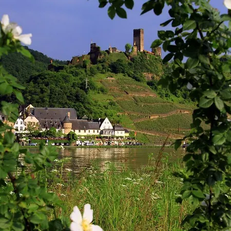 Haus Burg Metternich 2*