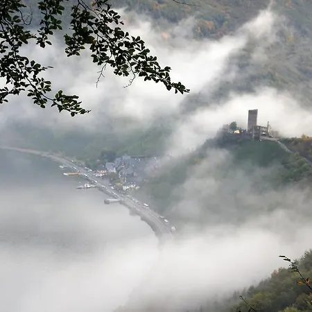 ホテル Haus Burg Metternich 2*