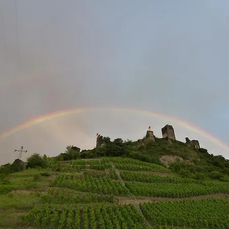 Haus Burg Metternich