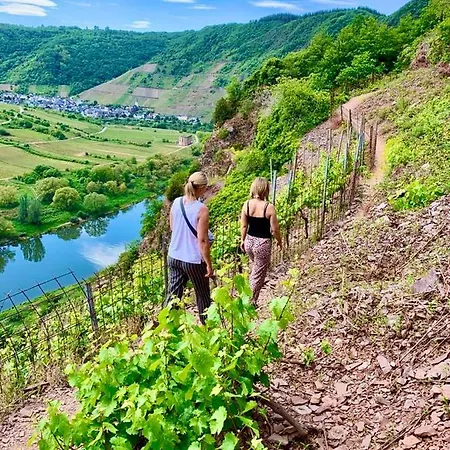 Haus Burg Metternich Beilstein (Rhineland-Palatinate)