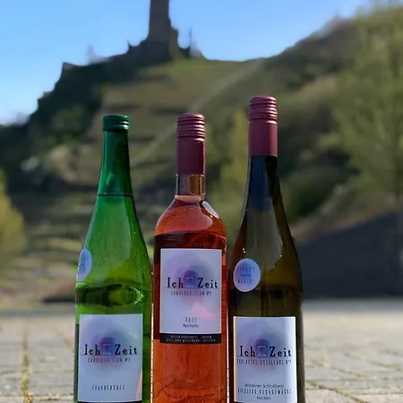 Haus Burg Metternich 2*