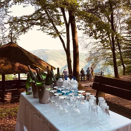 ホテル Haus Burg Metternich バイルシュタイン