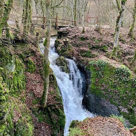 Haus Burg Metternich 2*