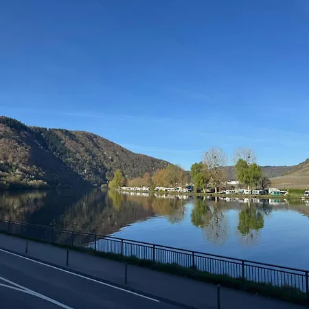 Haus Burg Metternich מלון 2*