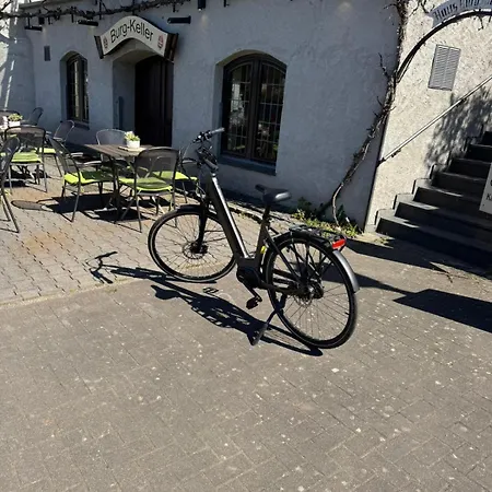 מלון Haus Burg Metternich 2*