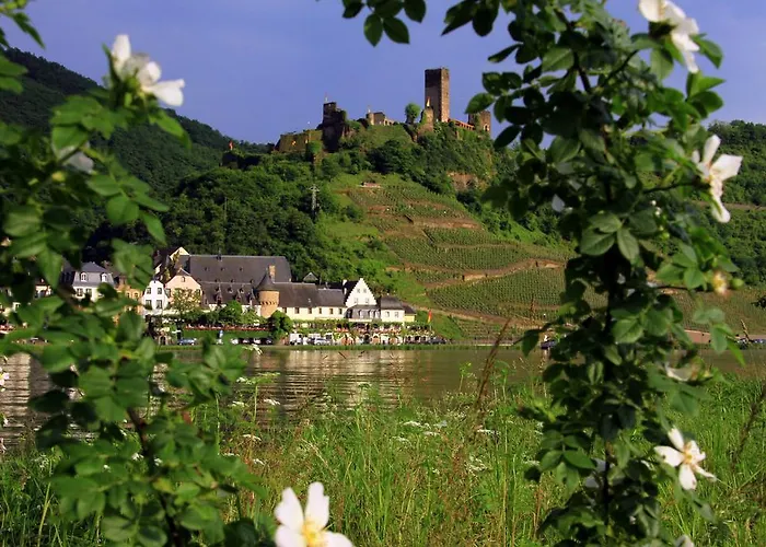 Haus Burg Metternich 2*