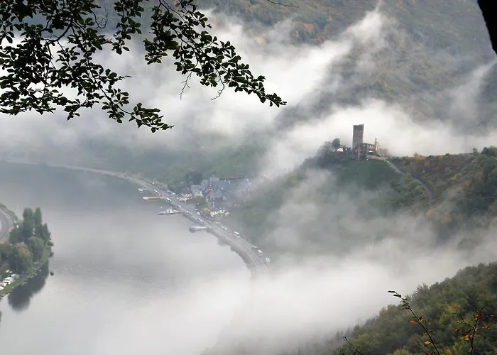 מלון Haus Burg Metternich 2*