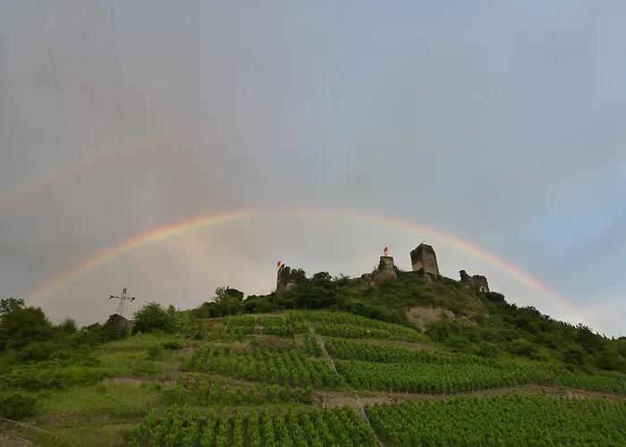 Haus Burg Metternich