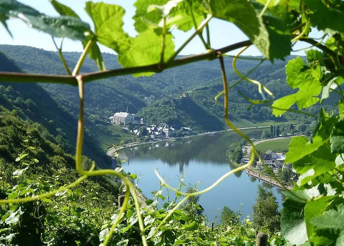 Haus Burg Metternich