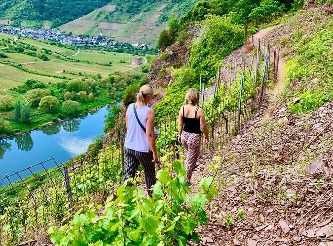 Haus Burg Metternich Beilstein (Rhineland-Palatinate)