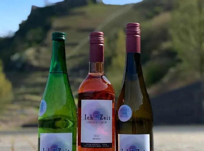 Haus Burg Metternich 2*