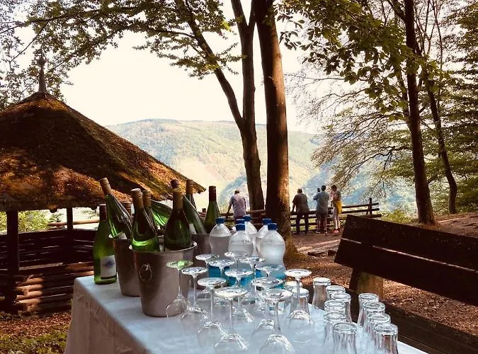 Hotel Haus Burg Metternich Beilstein (Rhineland-Palatinate)