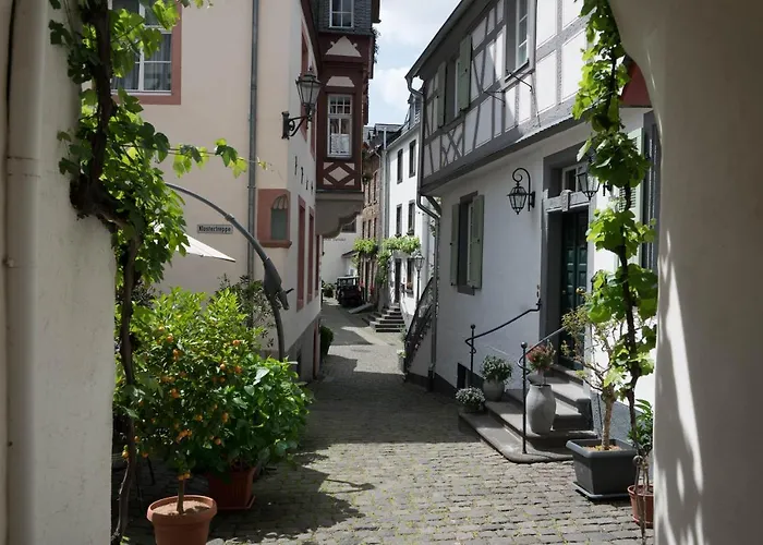 Haus Burg Metternich 호텔