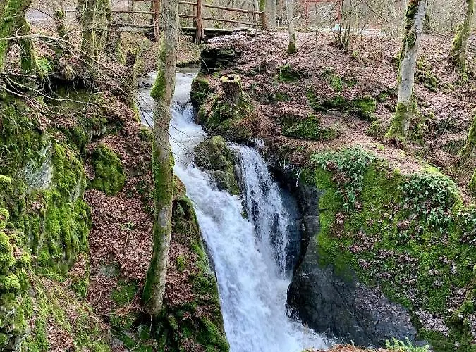 Haus Burg Metternich 2*