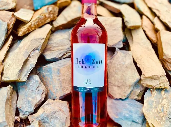 Hotel Haus Burg Metternich 2*