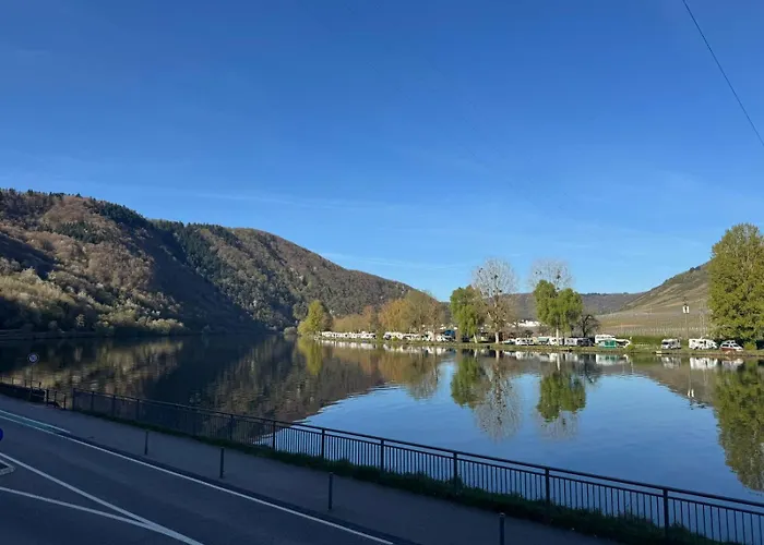 Haus Burg Metternich מלון 2*