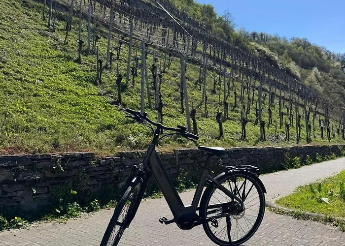 Haus Burg Metternich 2*